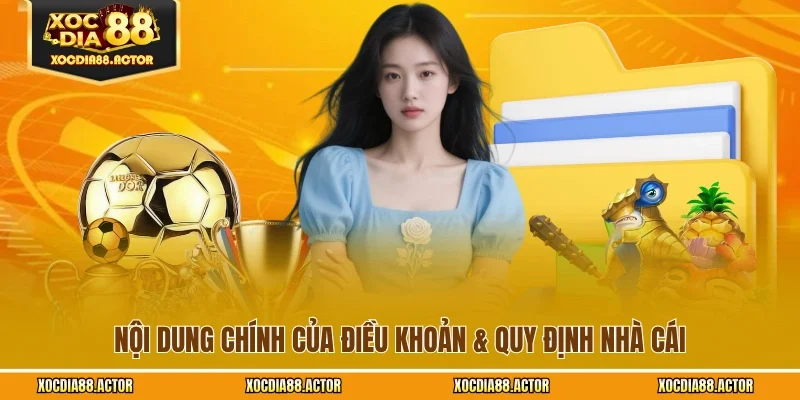 Nội dung chính của điều khoản & quy định nhà cái